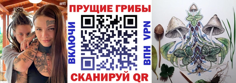 что такое наркотик  mega сайт  Псилоцибиновые грибы Magic Shrooms  Красноярск 