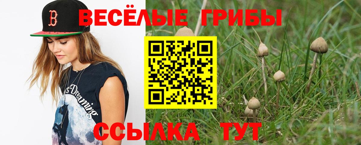 Псилоцибиновые грибы мицелий Красноярск